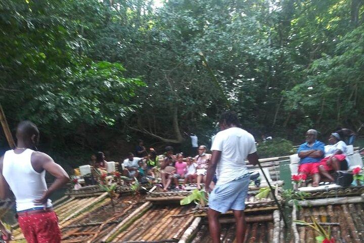 Visite privée à Ocho Rios et ses environs