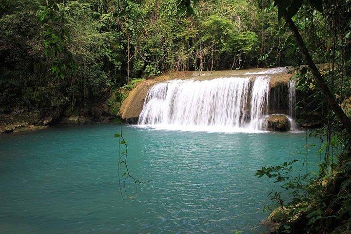 Private Tour Appleton Estate, YS Falls from Montego Bay