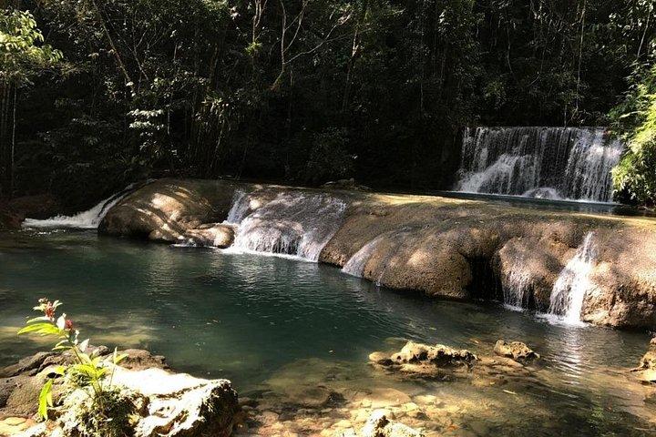 Private Tour Appleton Estate, YS Falls from Montego Bay