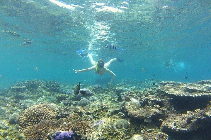 Privates Bali Blue Lagoon Schnorcheln mit Mittagessen