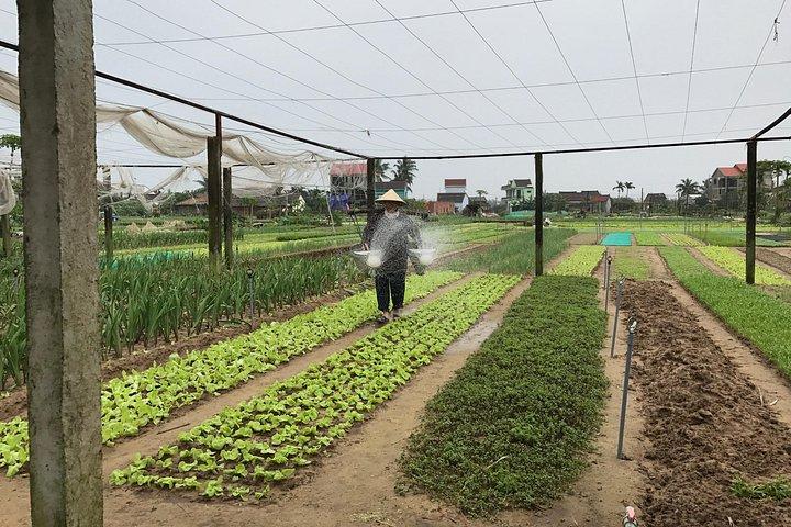 トラケ野菜村ガーデニングと料理教室