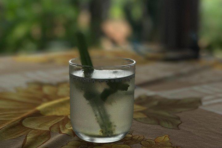 トラケ野菜村ガーデニングと料理教室