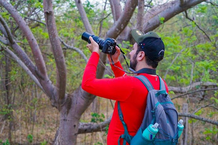 Early Bird Watching Tour - Guanacaste