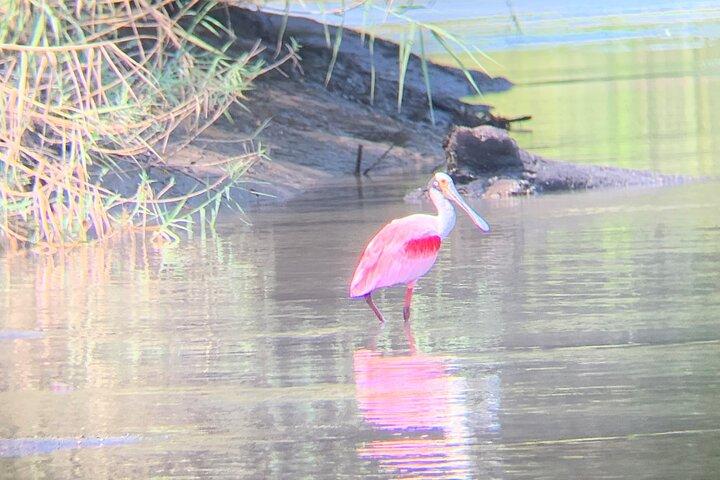 パロ ベルデ自然公園ボート ツアー