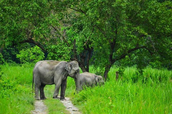 1 Day Akagera Game Drive Safari