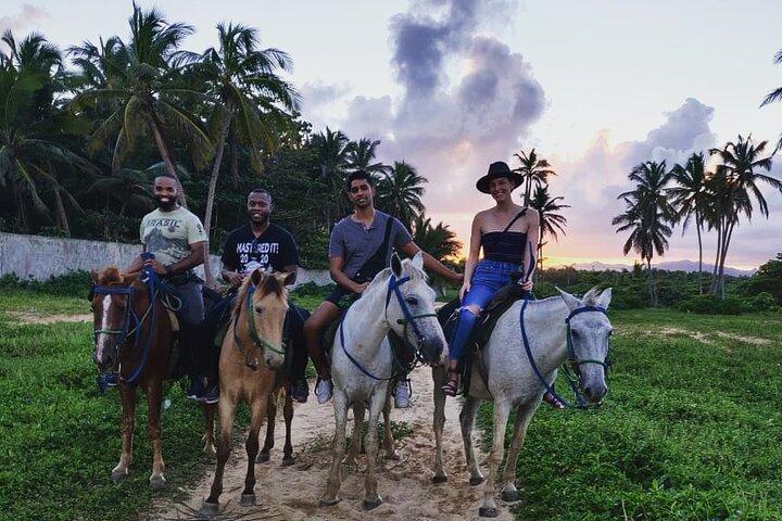 Private Sunset Horseback Riding in punta cana beach