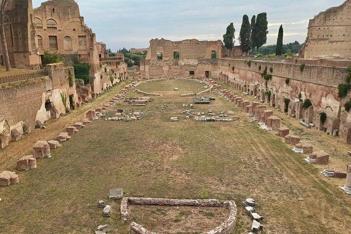 Visita privada ao Fórum Romano e Palatine Hill
