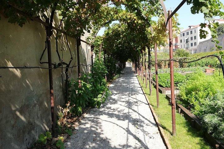 Verborgene Gärten in Venedig entdecken