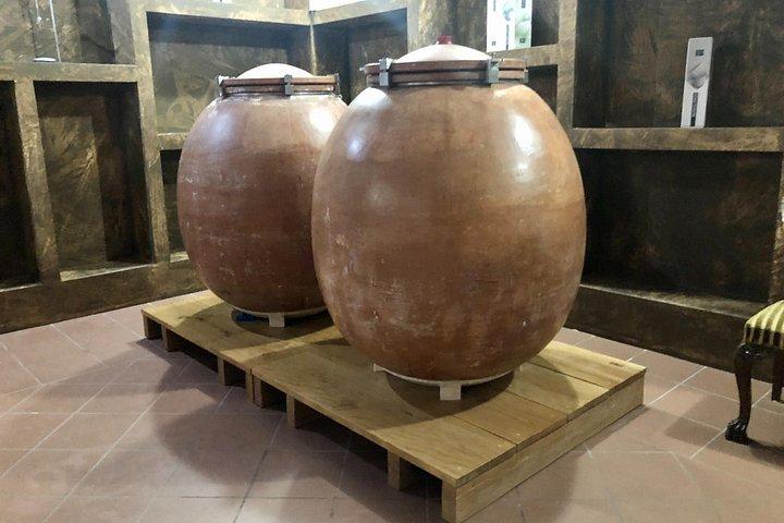 ワインロードプライベートデイツアー：コリント-古代ネメアとワインテイスティング