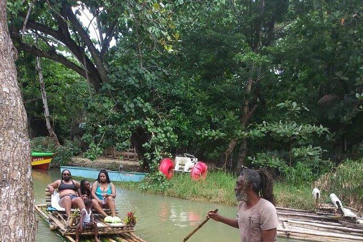 Visite privée à Ocho Rios et ses environs