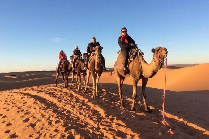 Grupo compartilhado 3 dias / 2 noites: Fez a Marrakech Sahara Tour