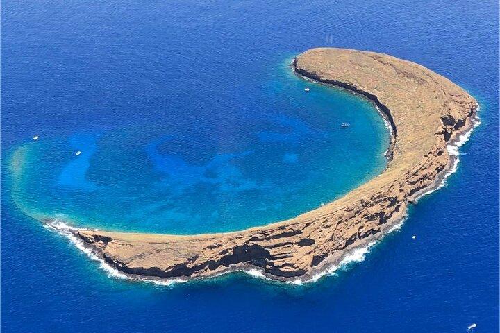 マウイ島：モロキニ火口とタートルタウンシュノーケリング紀平発
