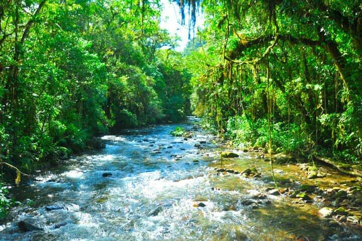 Tour de 6 dias São Paulo: Cidade, cachoeiras e cavernas