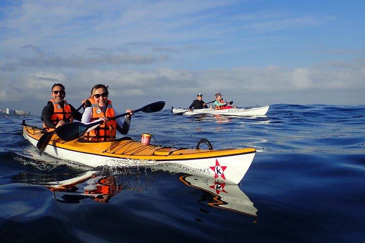 Cape Town Kayak Adventure in Table Mountain Marine Reserve
