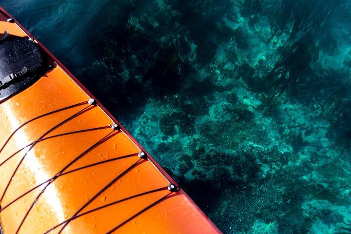 Cape Town Kayak Adventure in Table Mountain Marine Reserve