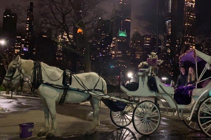 Magical Evening Horse-Drawn Carriage through NYC (65 min)
