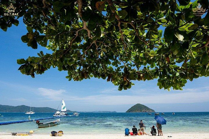 高級カタマラン船による半日バナナ ビーチ サンセット セーリング