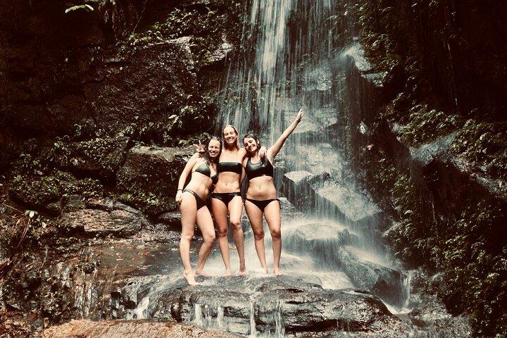 Nadar bajo las cascadas del Tijuca — Caminata, Cuevas, Vida Silvestre y Vistas al Río