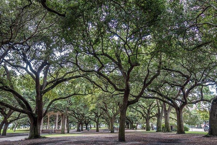 Visite historique privée à cheval et en calèche de Charleston