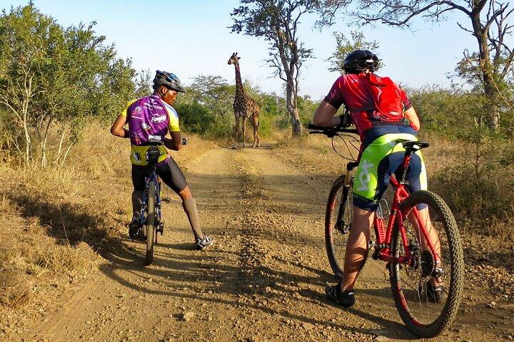 Kilimanjaro cykelparksafari