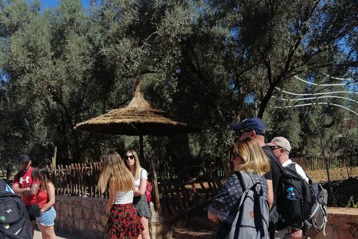 Tour to the Ouzoud Waterfalls from Marrakech