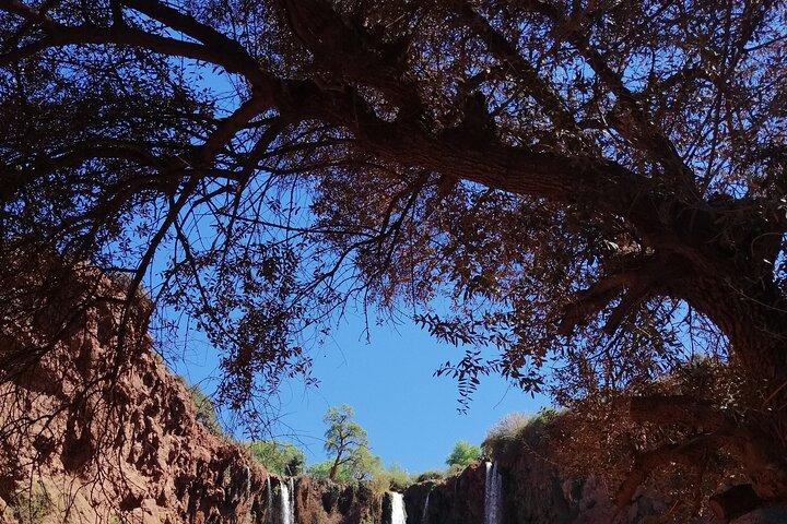 Tour to the Ouzoud Waterfalls from Marrakech