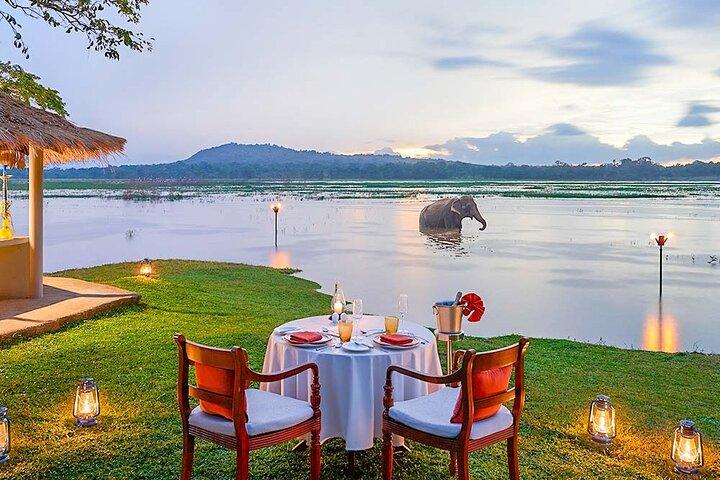 Visita de sonho ao Sri Lanka