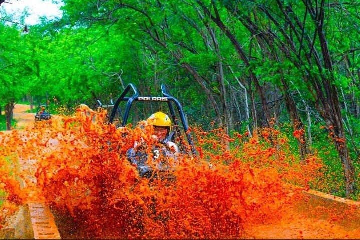ネグリルのジャムウェスト ATV オフロード アドベンチャー & ジップライン コンボ