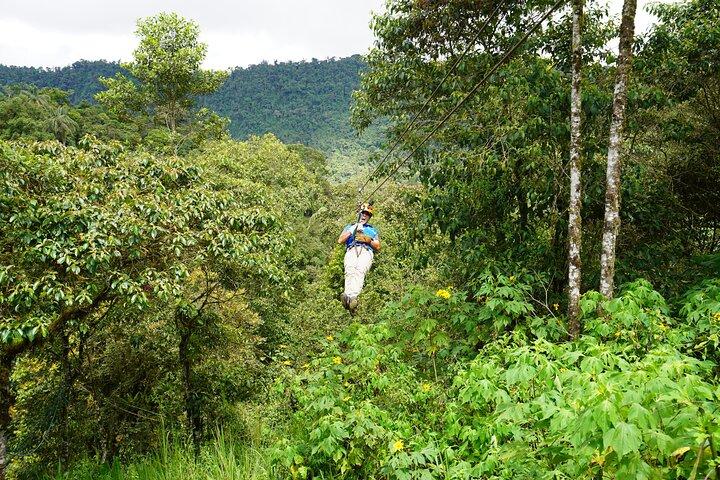 Tour privado de día completo por el bosque nuboso de Mindo