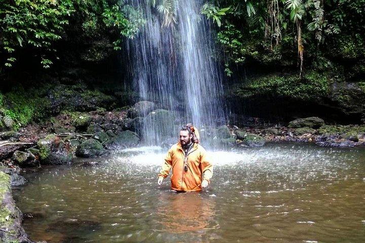 Visite privée d'une journée complète de la forêt nuageuse de Mindo