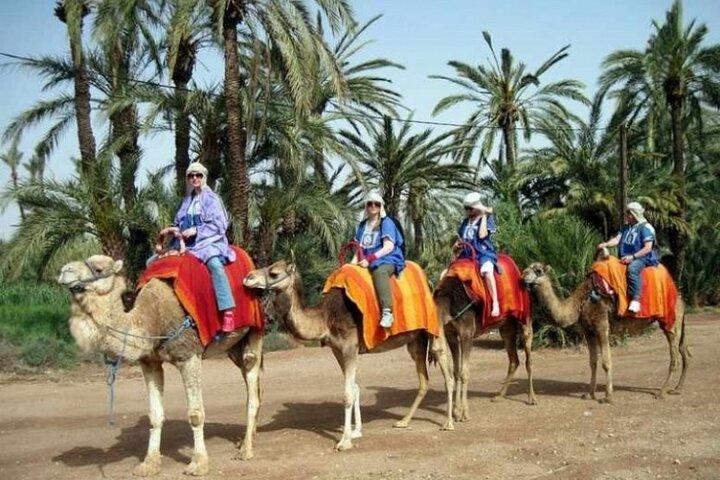2-Hour Quad Bike & Camel Ride in Marrakech Palmeraie