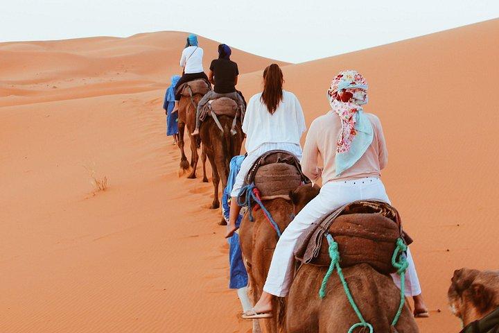 5 Days Desert and Essaouira, great for Families