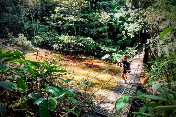 Aventura e História na Floresta da Tijuca (pequeno grupo ou privado)