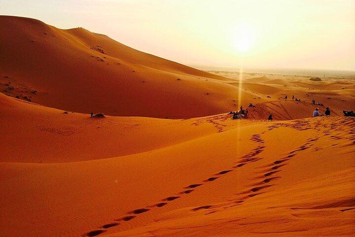 Sand, sol och kul i Dubai Desert Dune Bashing Safari