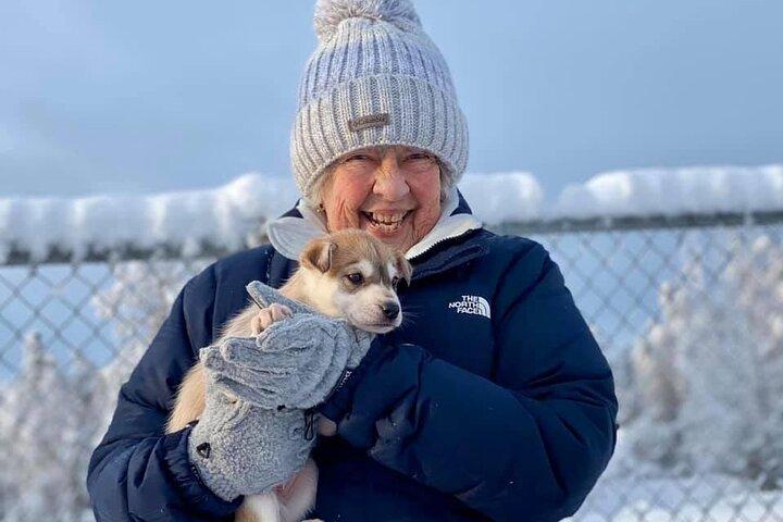 Mush Your Own Sled Dog Team (Winter Tour) in Talkeetna, Alaska