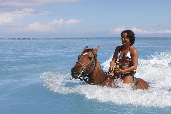 4つの川の急速な冒険の1つで乗馬をカスタマイズ