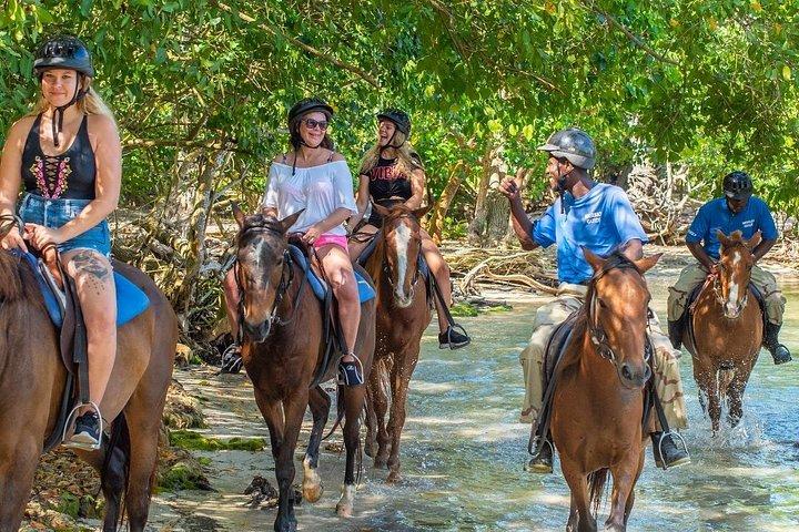 4つの川の急速な冒険の1つで乗馬をカスタマイズ