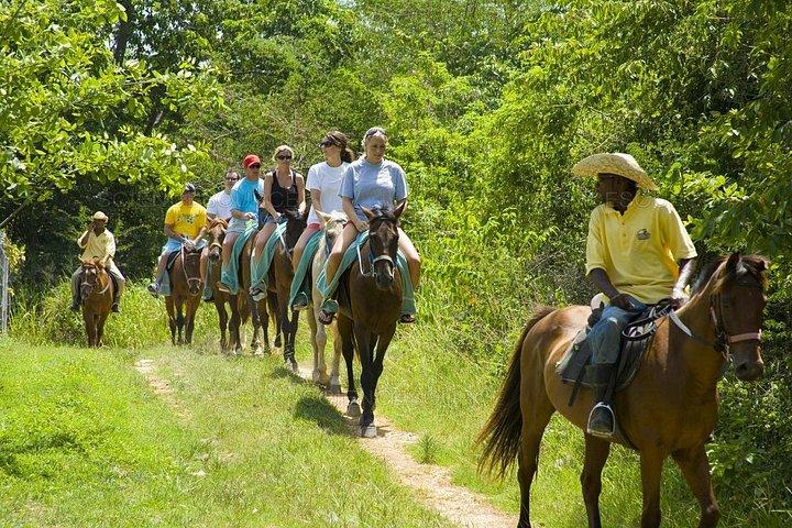 4つの川の急速な冒険の1つで乗馬をカスタマイズ