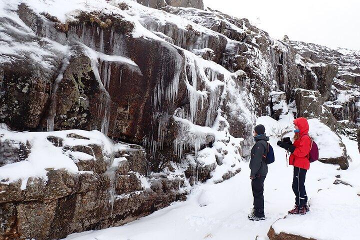 Geführte Winterwanderung zum Preikestolen