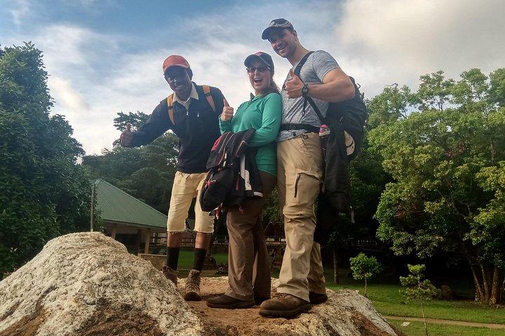 Kilimanjaro-dagwandeling in de bergen