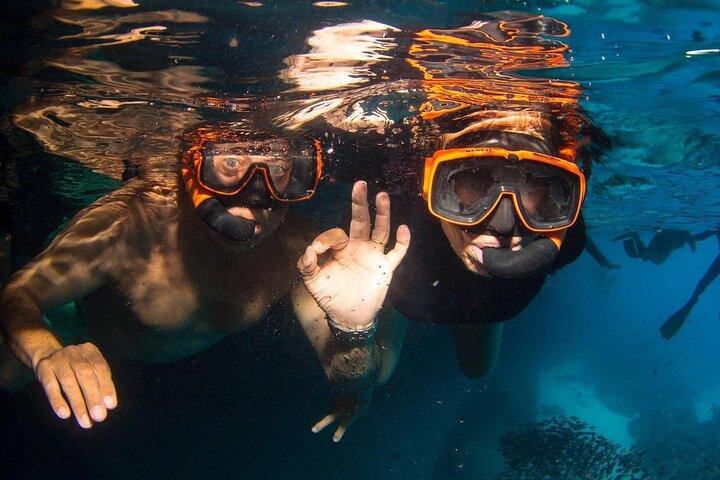 Snorkel Shore Trip com Scubaçao "East Point"