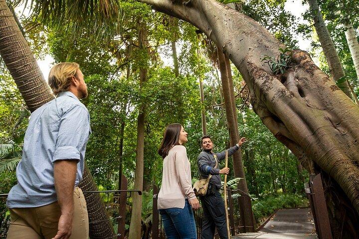 アボリジニヘリテージウォーク - 王立植物園Victoria、Melbourne Gardens
