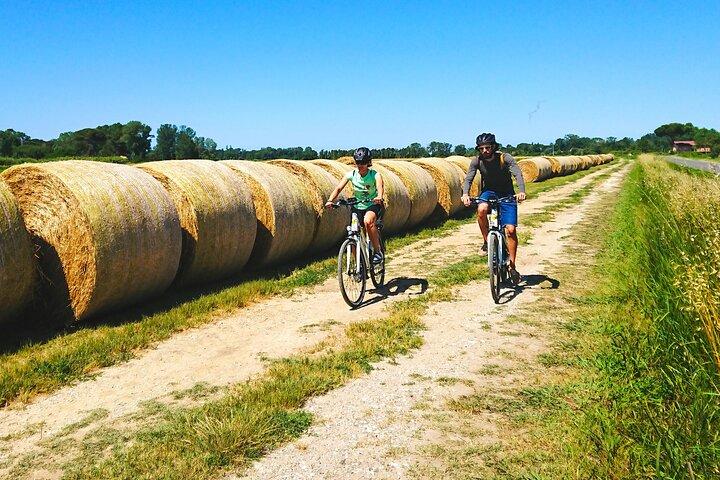 Pisa tur på cykel : Vejen til havet