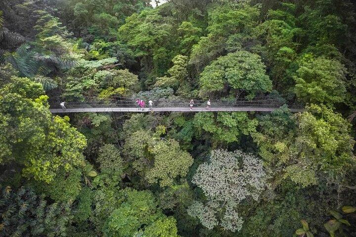3 - en - 1 : Puentes Colgantes, Cascada, Caminata Volcánica, o Aguas Termales