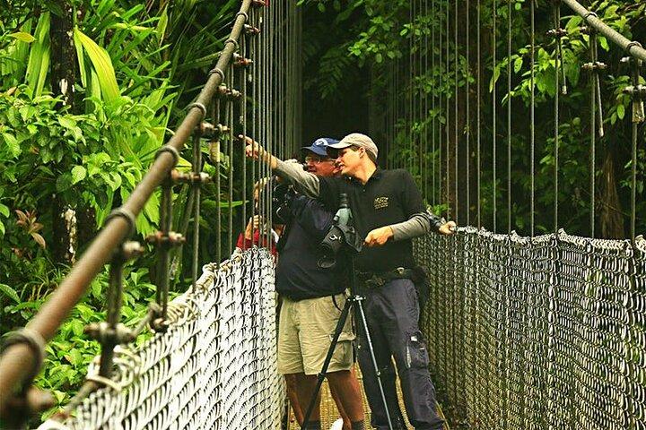 Ponts suspendus Arenal 4 en 1, cascade La Fortuna, randonnée volcanique et sources chaudes