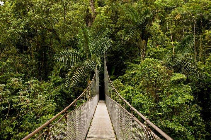 Ponts suspendus Arenal 4 en 1, cascade La Fortuna, randonnée volcanique et sources chaudes