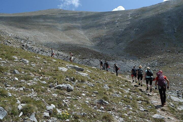 Olympus Mountain Guiding - Mytikas 2918m på en dag