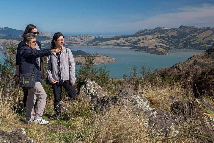 Christchurch Sightseeing Pass