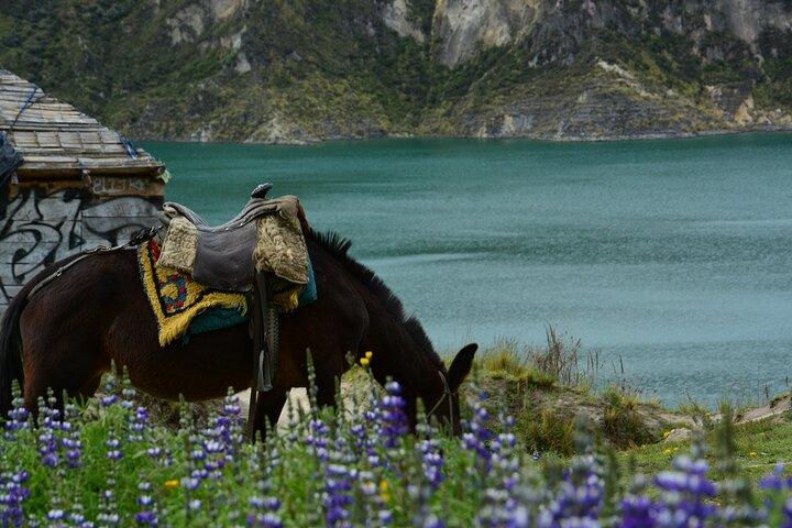 Tour de día completo a la laguna de Quilotoa desde Quito con almuerzo