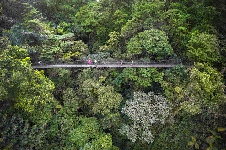 Ponts suspendus Arenal 4 en 1, cascade La Fortuna, randonnée volcanique et sources chaudes